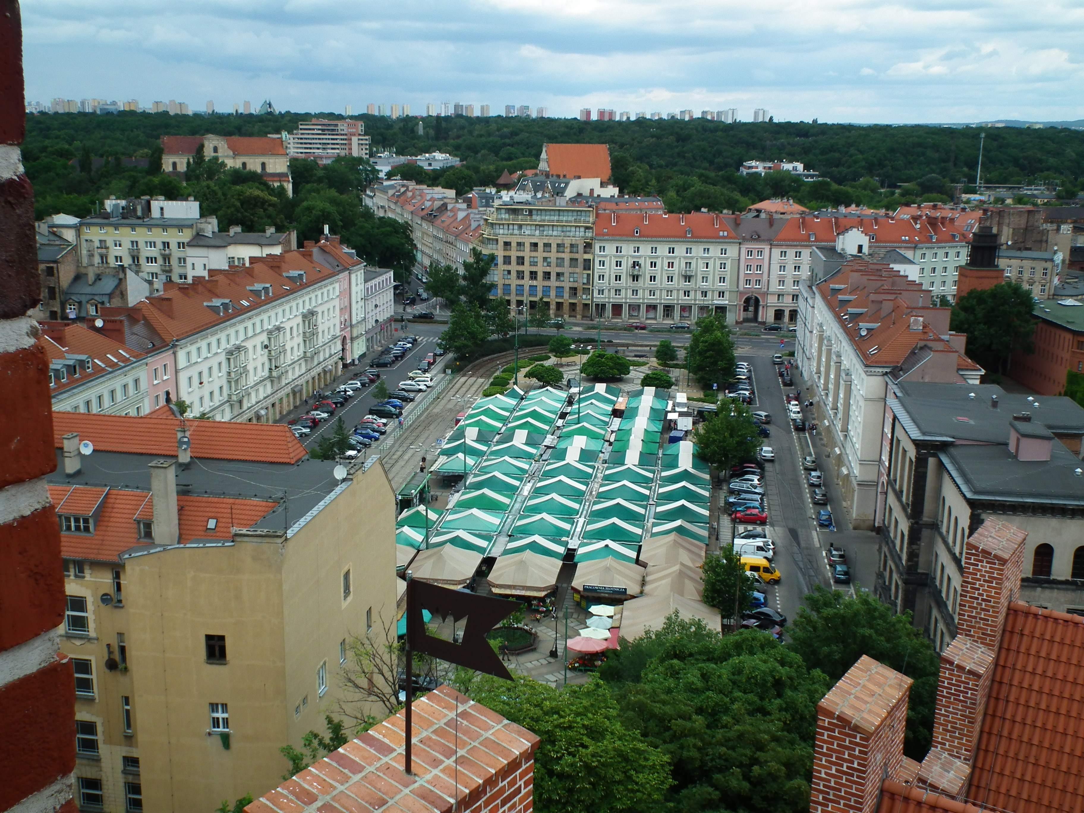 🧺 비엘코폴스키 광장 시장(플라츠 비엘코폴스키)