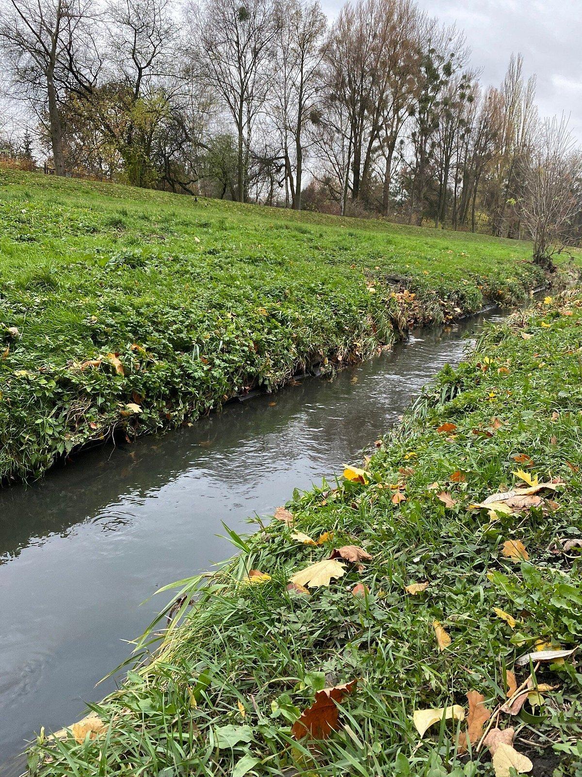 포즈난, 폴란드