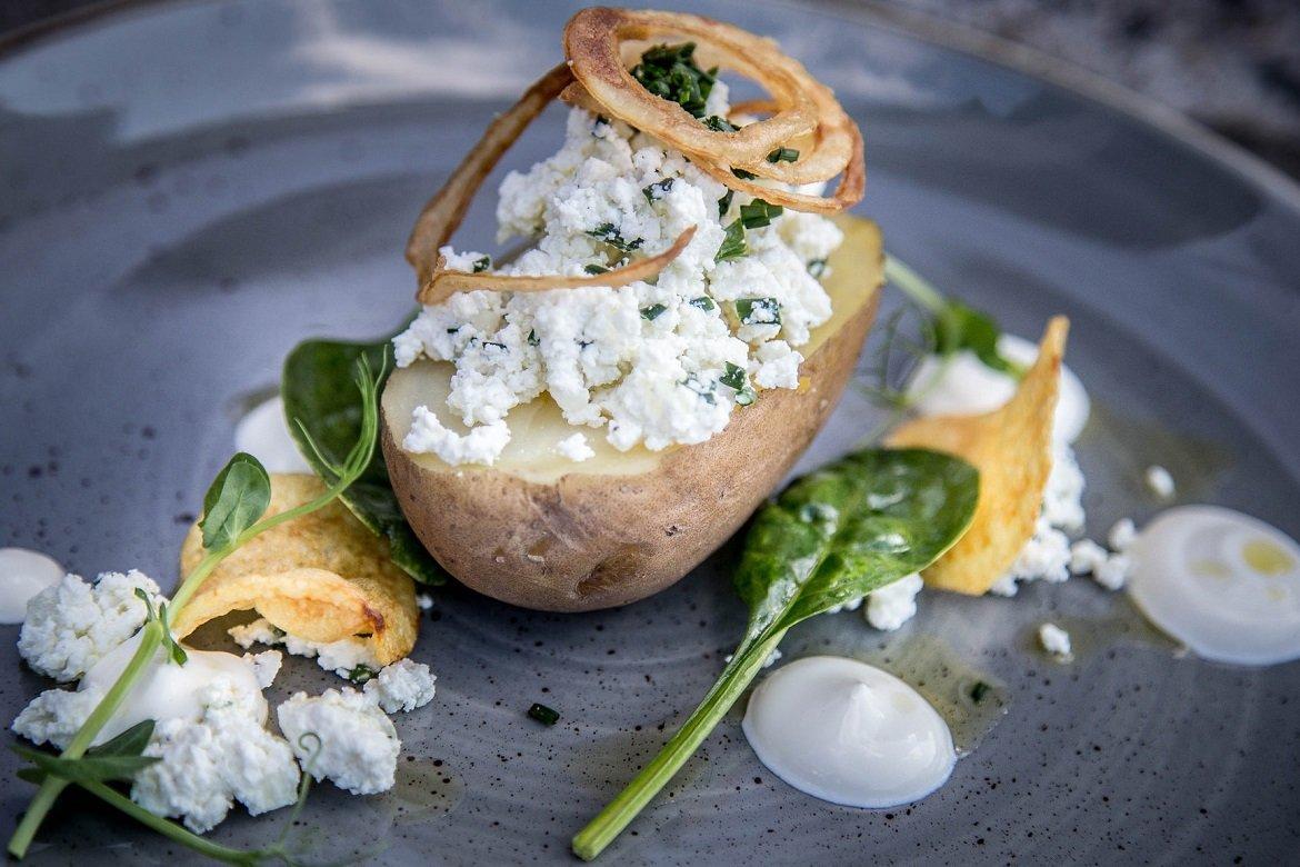 🌴 포즈난 야자수 온실(팔미아르니아 포즈난스카)