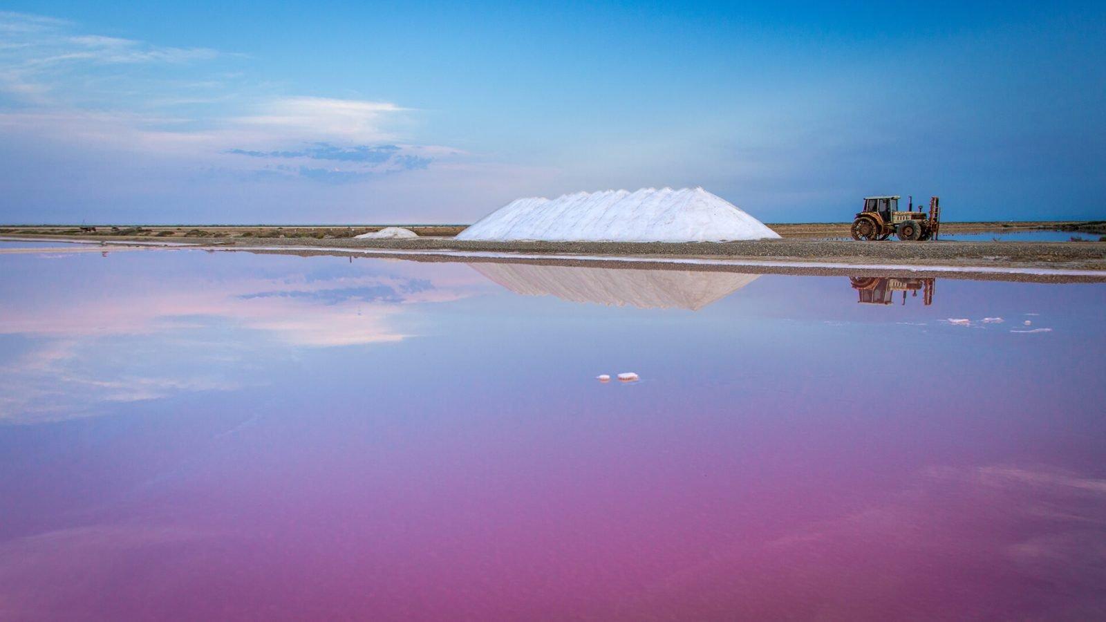 🧂 그뤼상 염전 (르 살랭 드 그뤼상)