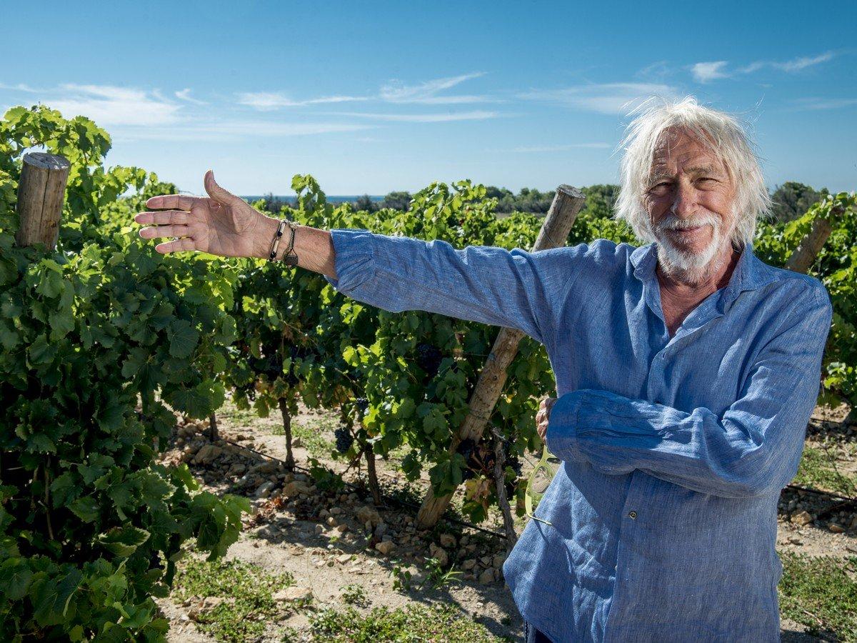 포도밭을 배경으로