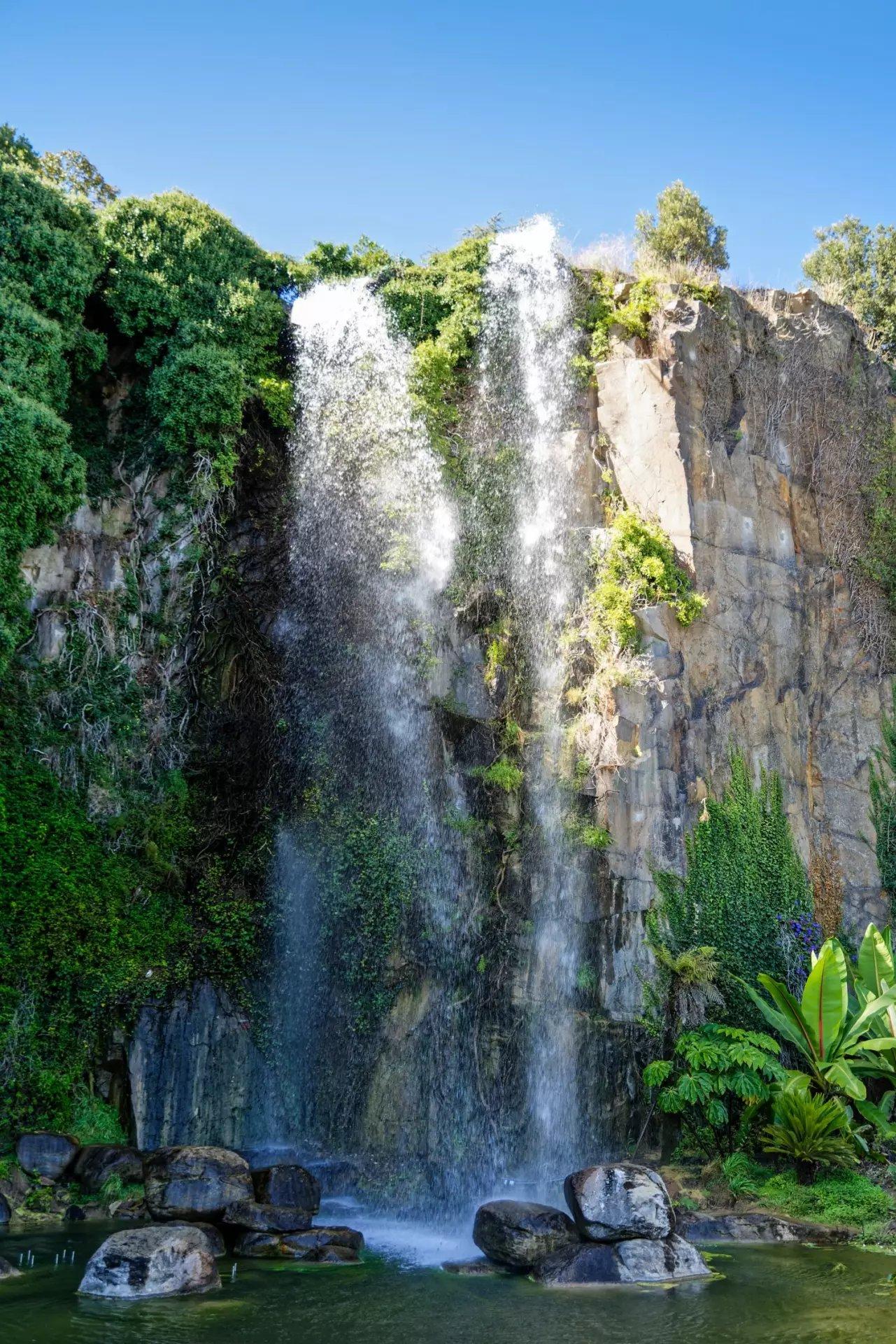이국적 식물 군락 사이 오솔길