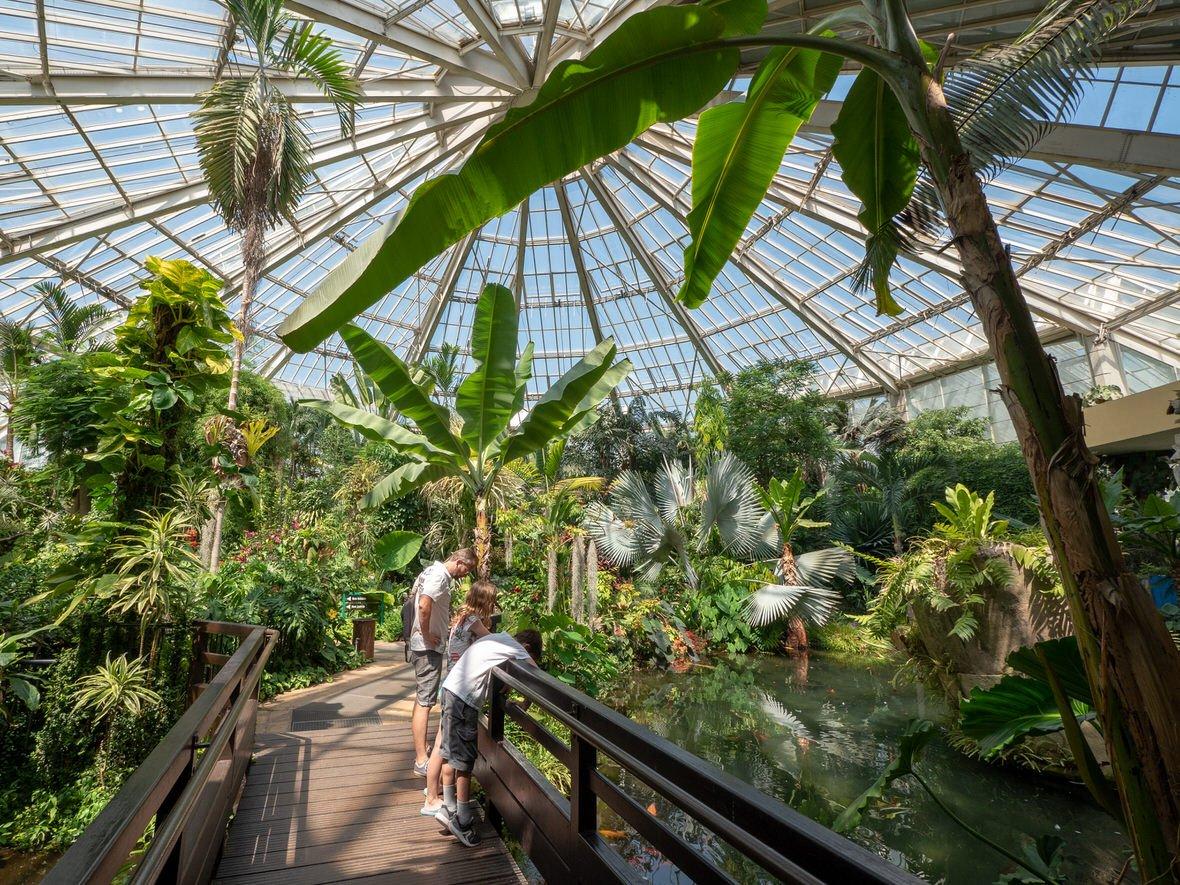 🏞️ 피닉스 공원 (Parc Phœnix)