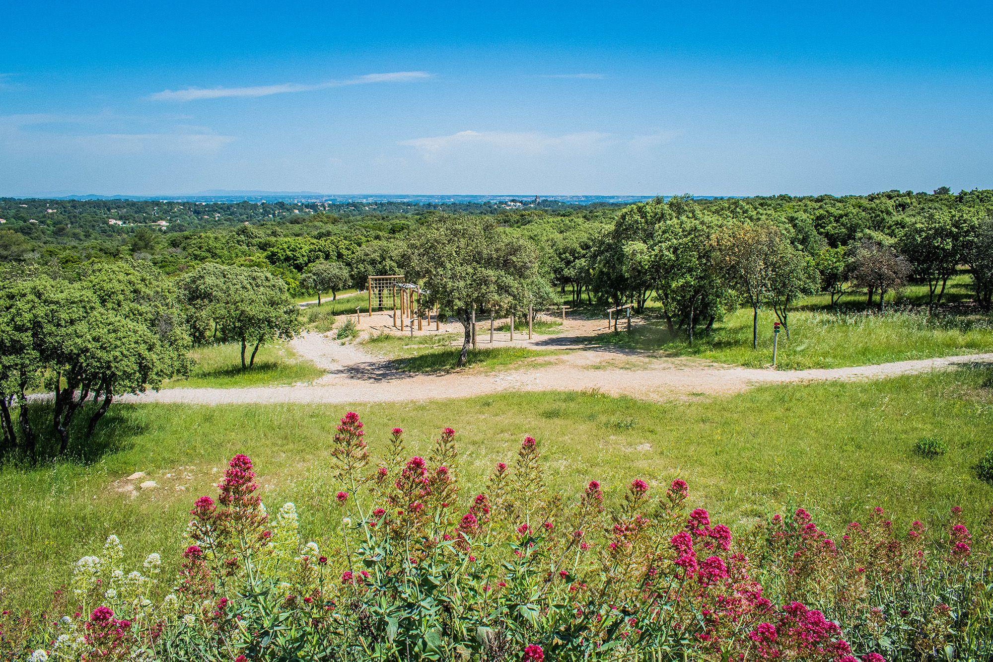 🌳 에스페스 숲(부아 데 제스페스)