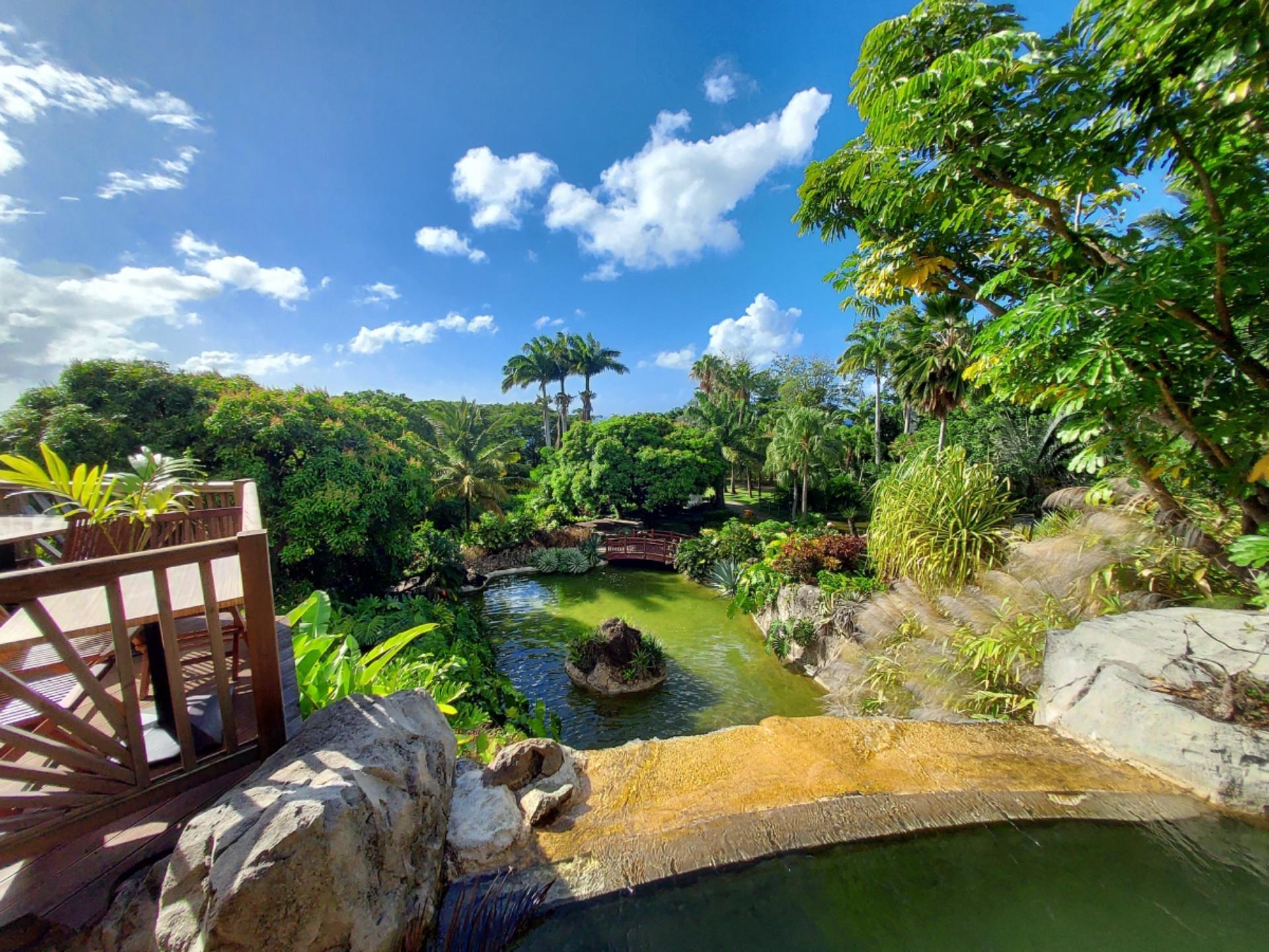 🌿 데셰 식물원 (자르뎅 보타니크 드 데셰)