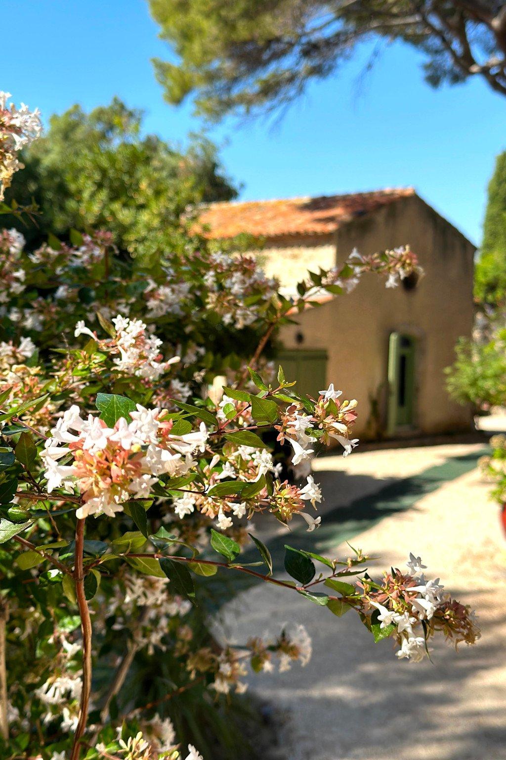 정원 내 조각품 및 식물 배경