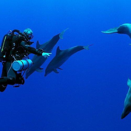 🐠 랑기로아 다이빙 센터