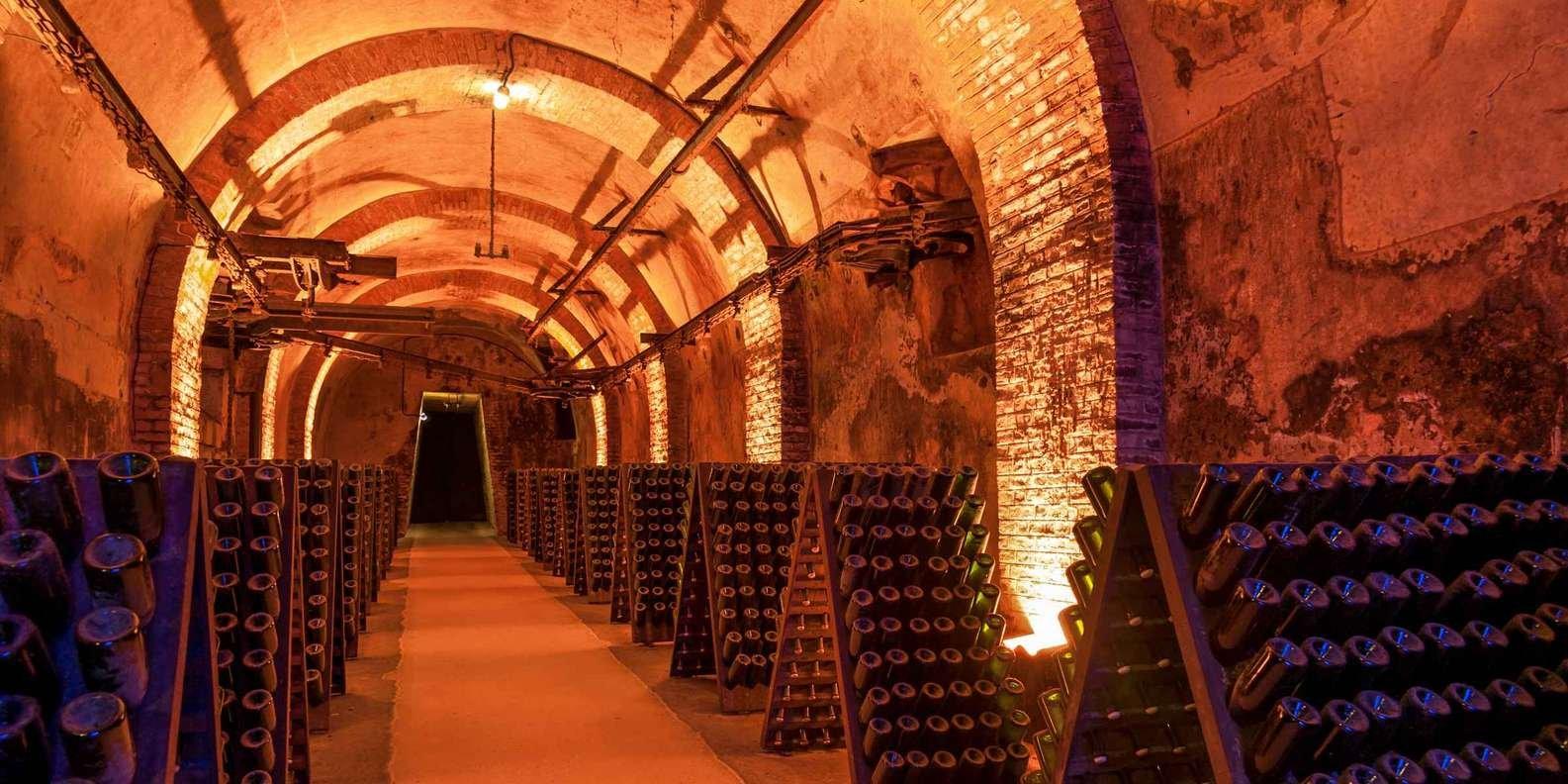 지하 셀러 내부