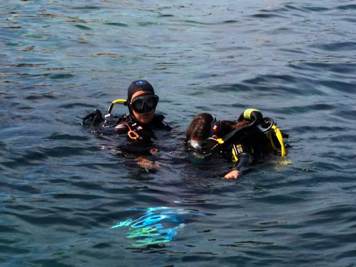 🐢 거북이 다이빙(플롱제 쉬브토르튀)