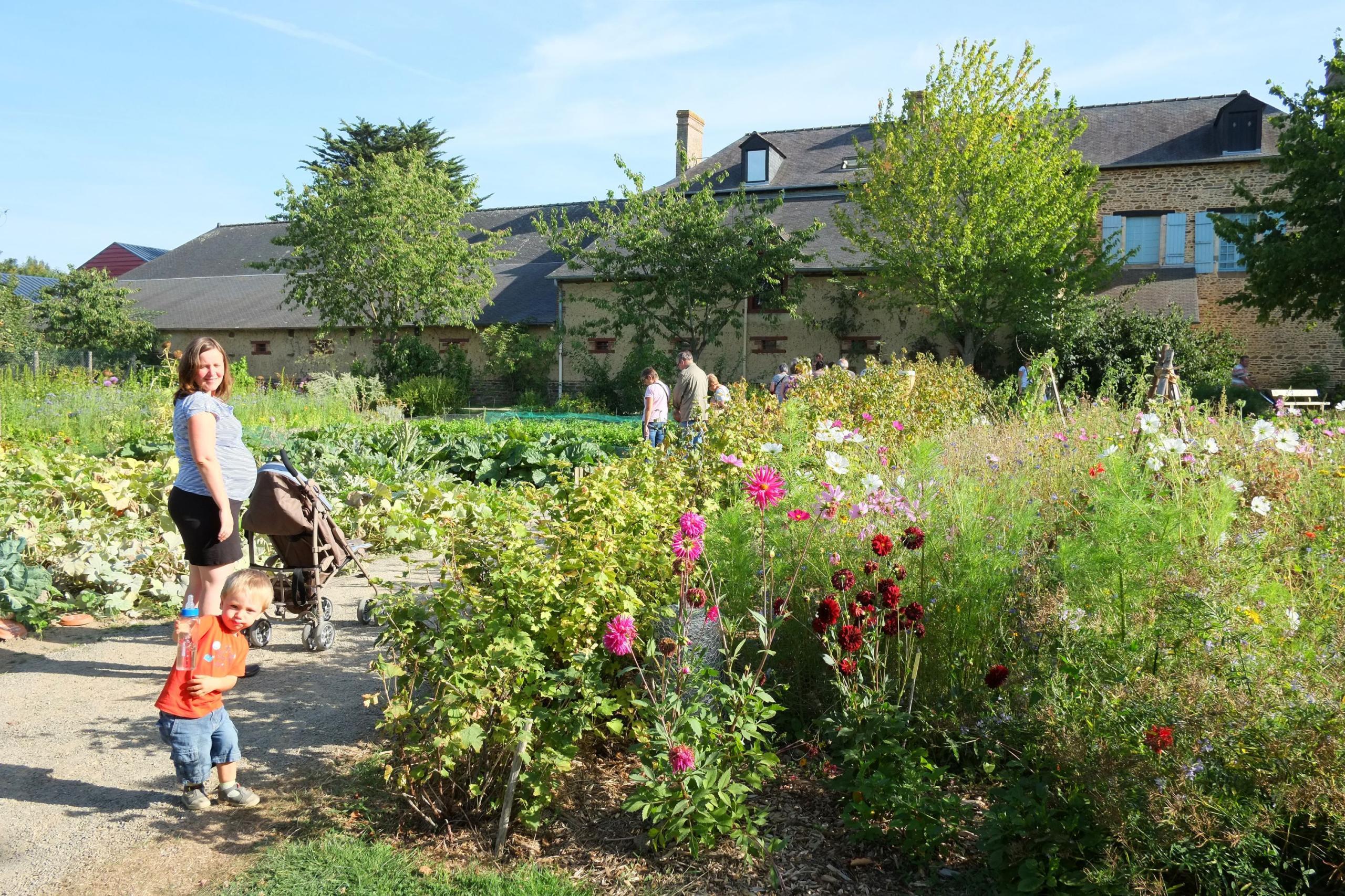 꽃 특별 전시 예고