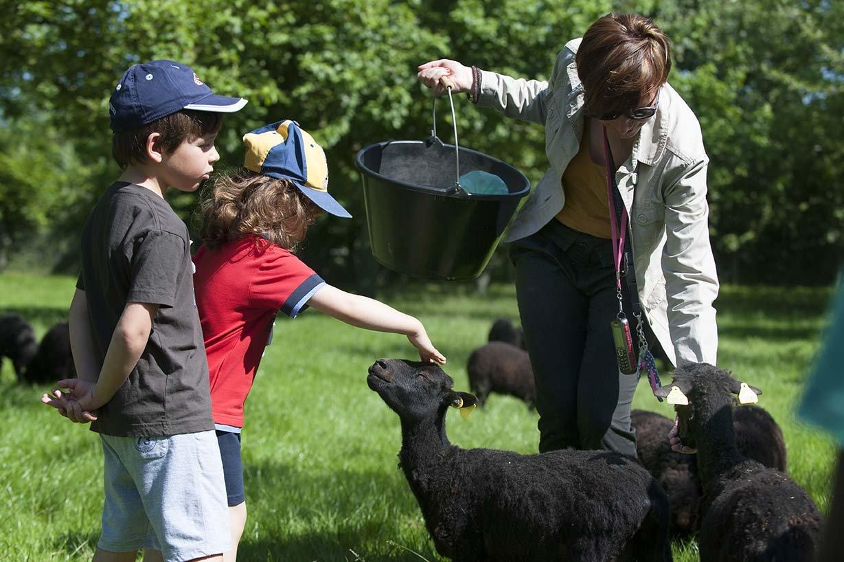농장 동물들과 함께