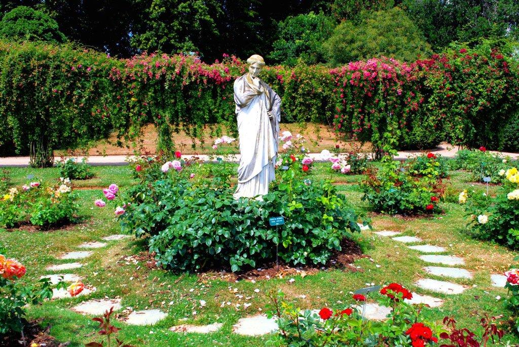 장미 정원 (개화기)