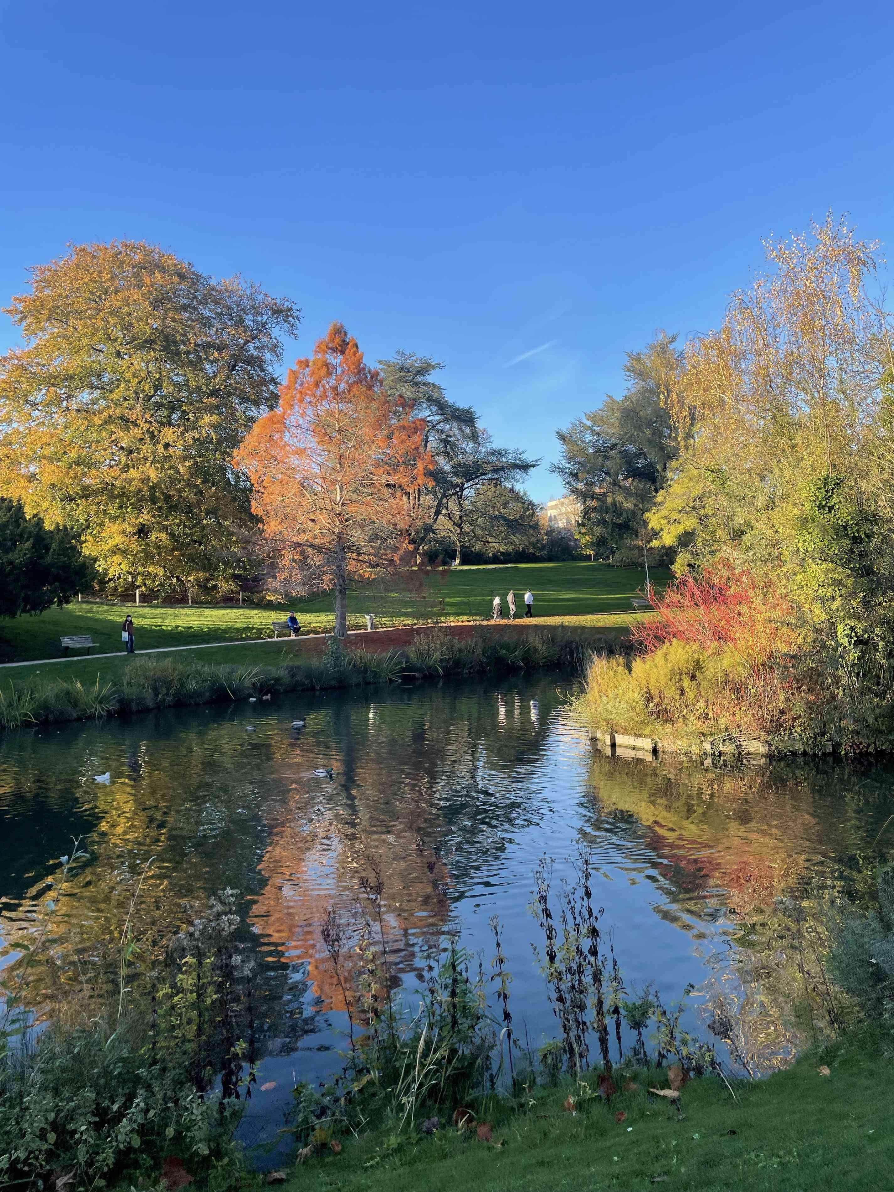 호수와 인공 폭포, 동굴 주변