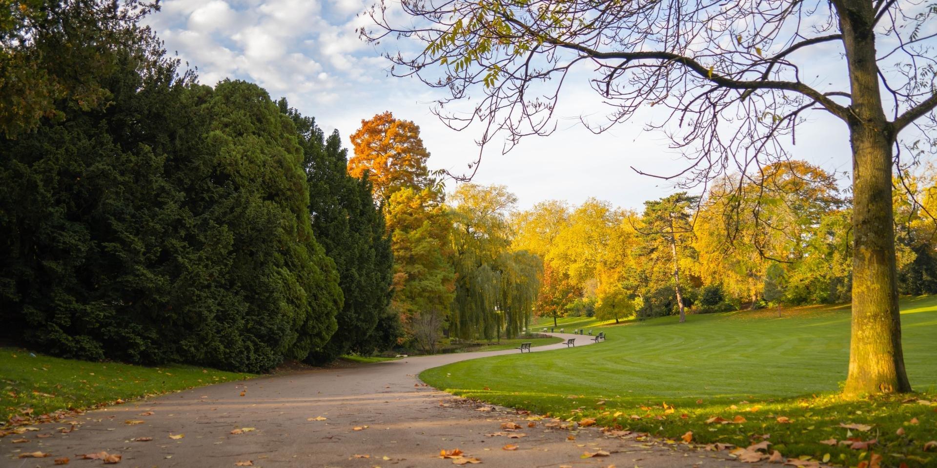 계절별 아름다운 수목 터널길