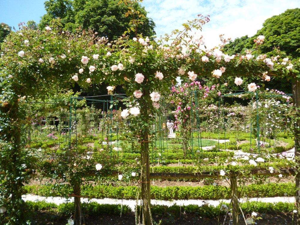조제핀의 장미 정원