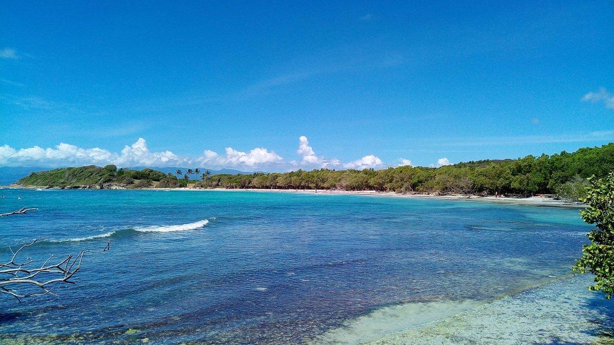 르고지에, 프랑스