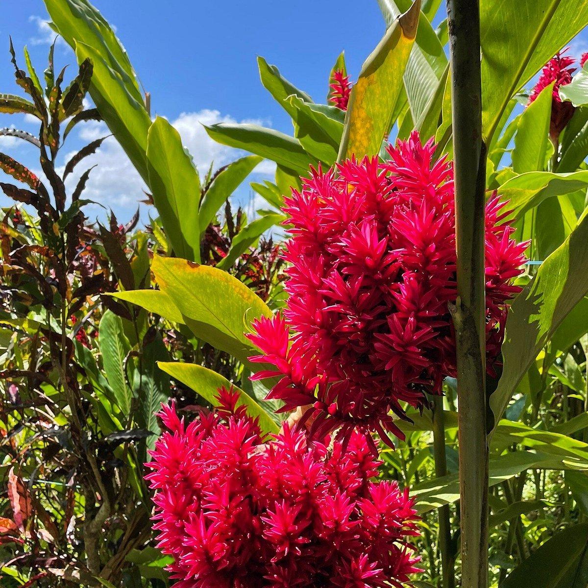 르보클랭, 프랑스