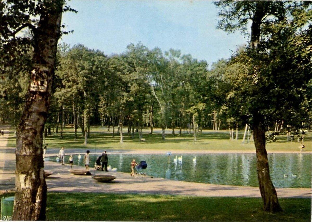 🌳 몽종 숲(포레 드 몽종)