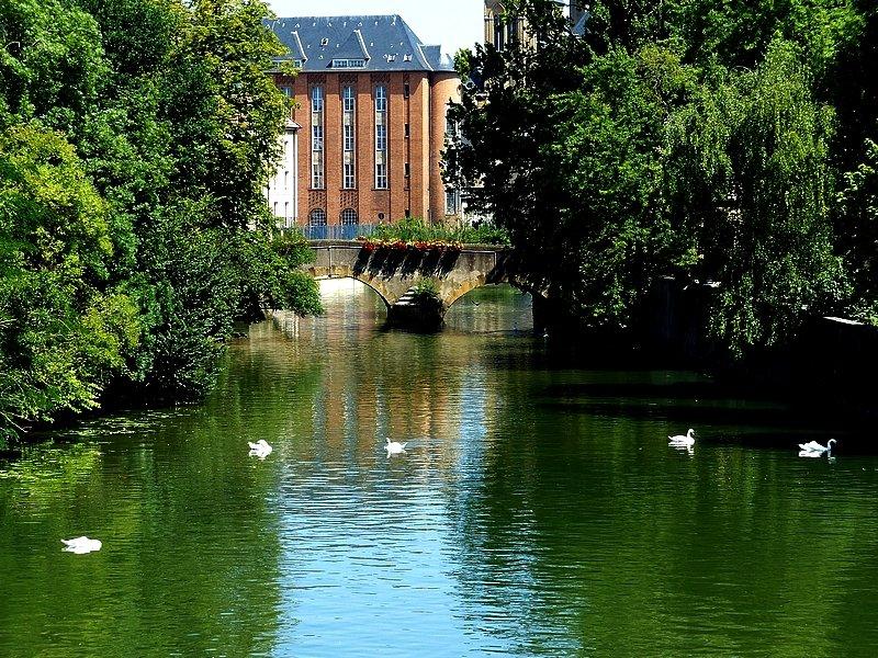 사랑의 정원 (Jardin d'Amour)