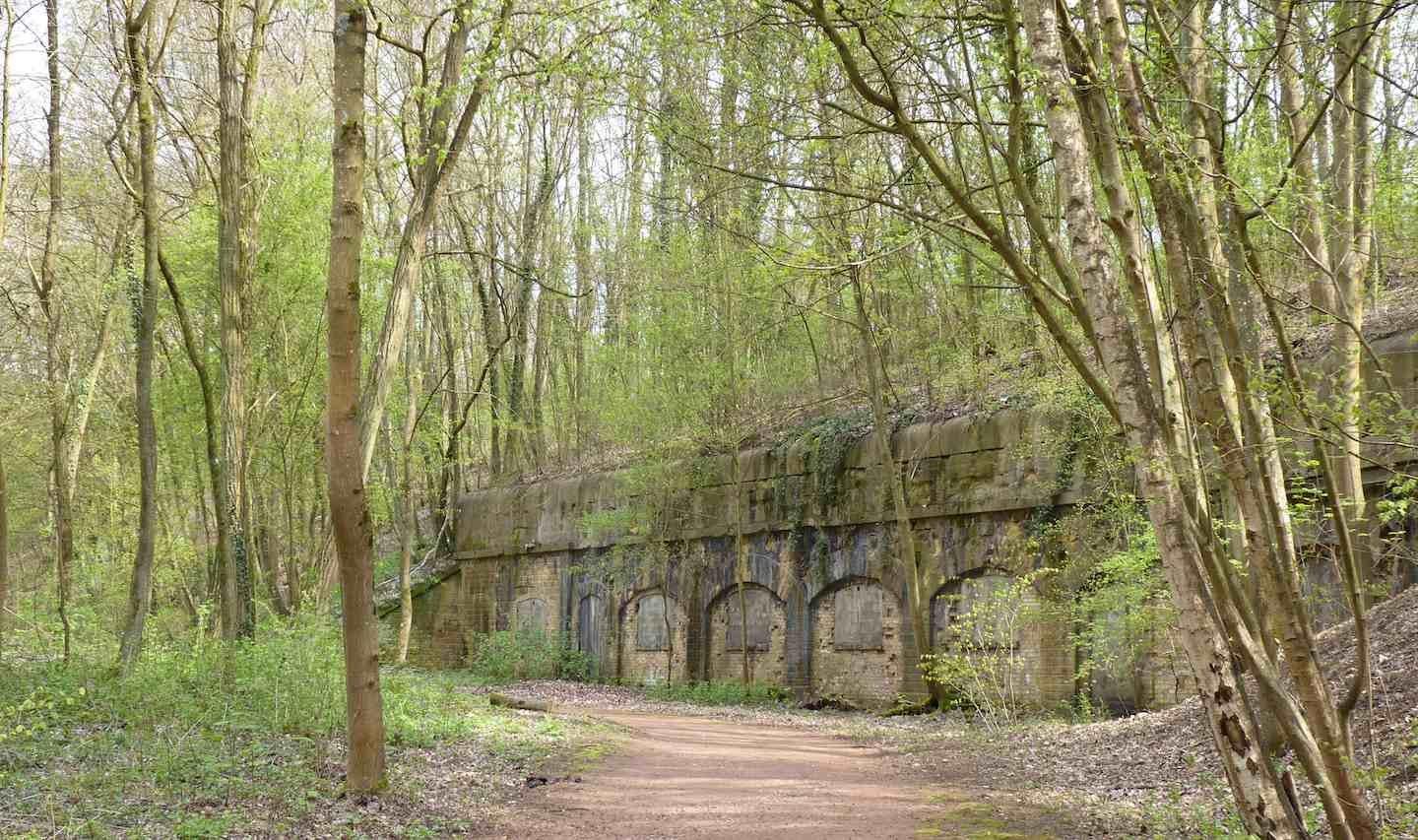 공원 내 숲길과 유적지