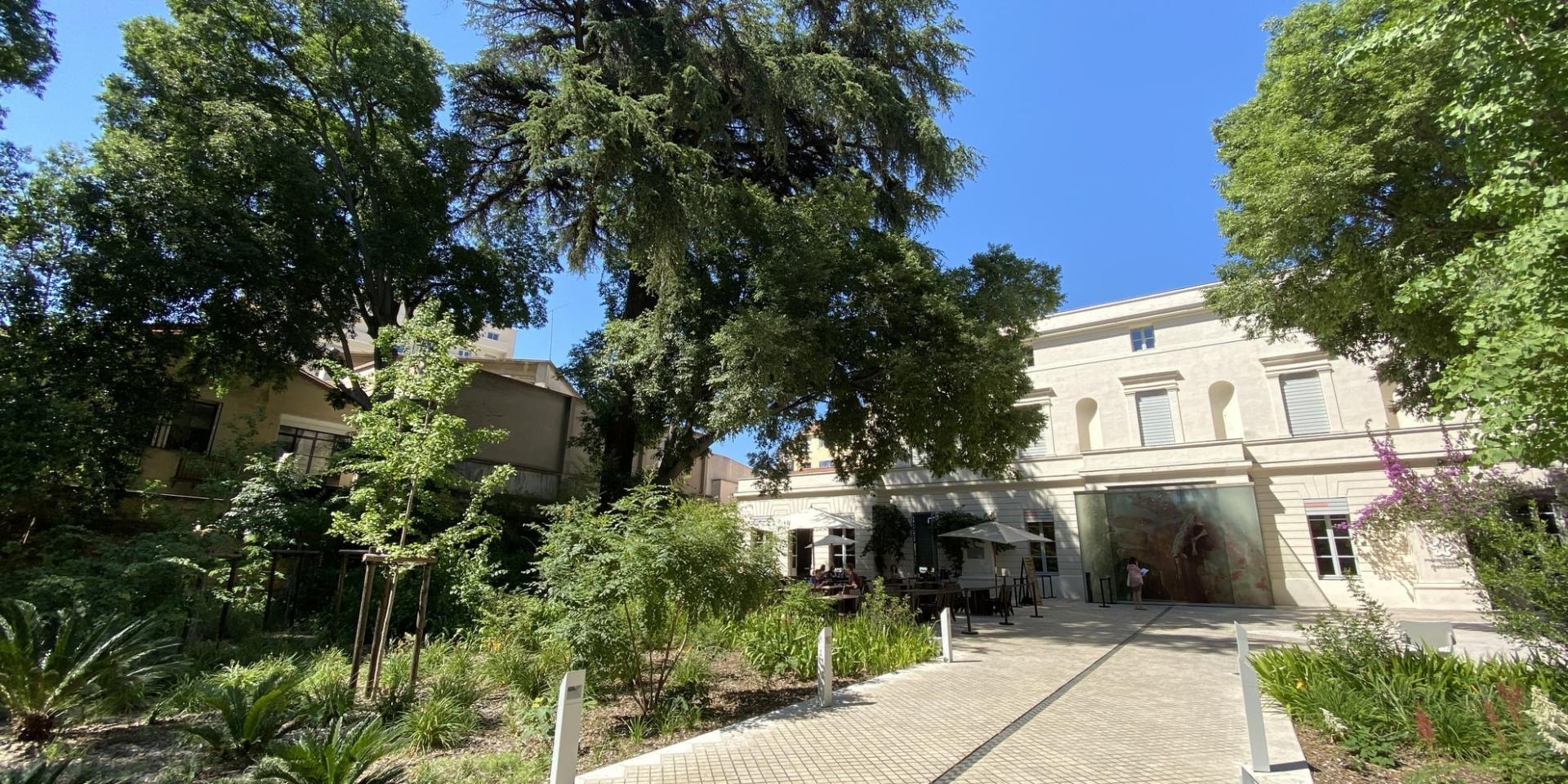 🎨 모코 몽펠리에 컨템포러리(모코 몽펠리에 콩탕포랭)