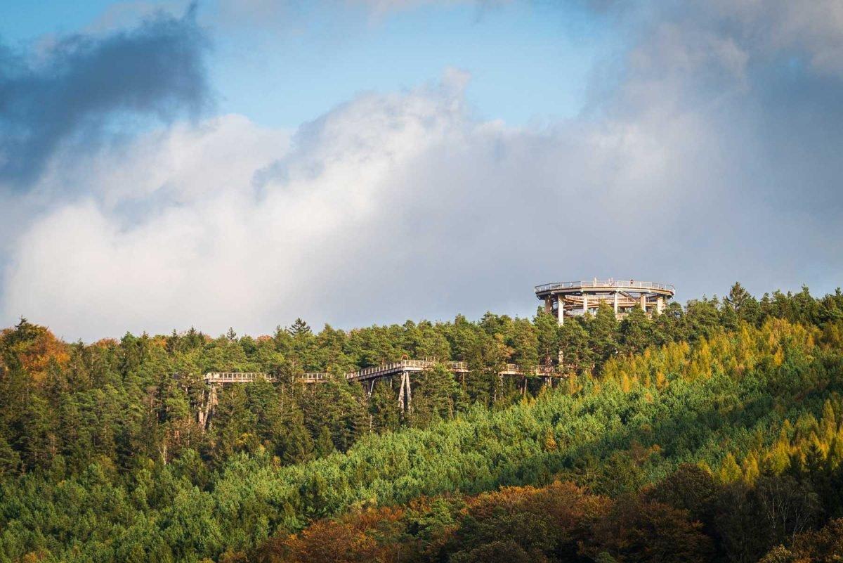 타워 최상층 전망대 (서쪽 방향)