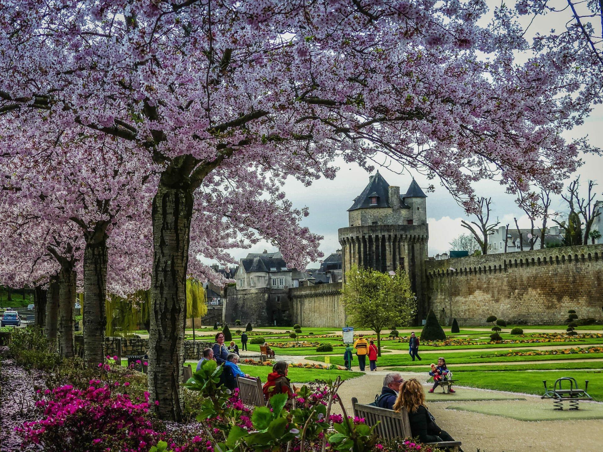 형형색색의 꽃밭과 라 마를 강변