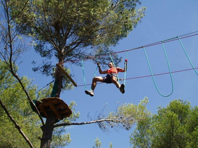 🌲 베지에 어드벤처(베지에 아방튀르)