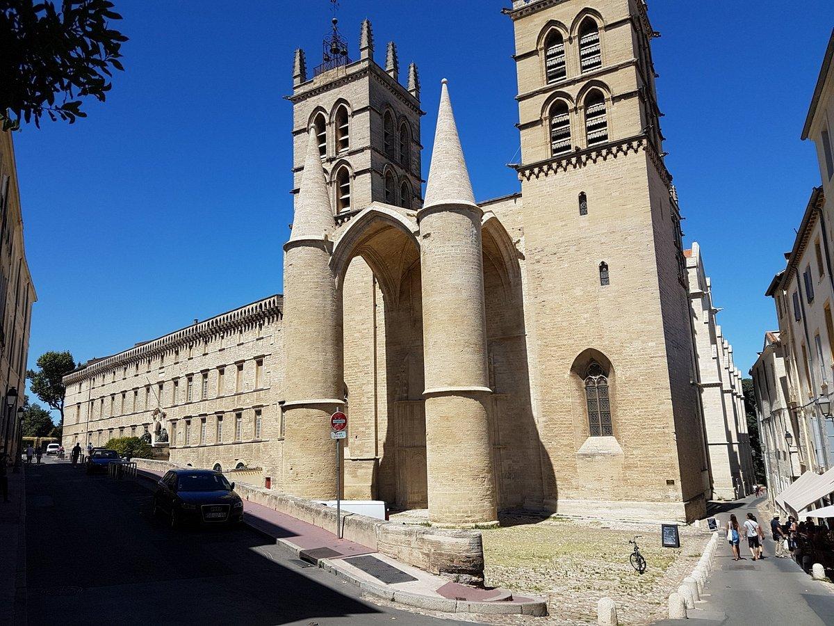 ⛪ 보베 생피에르 대성당