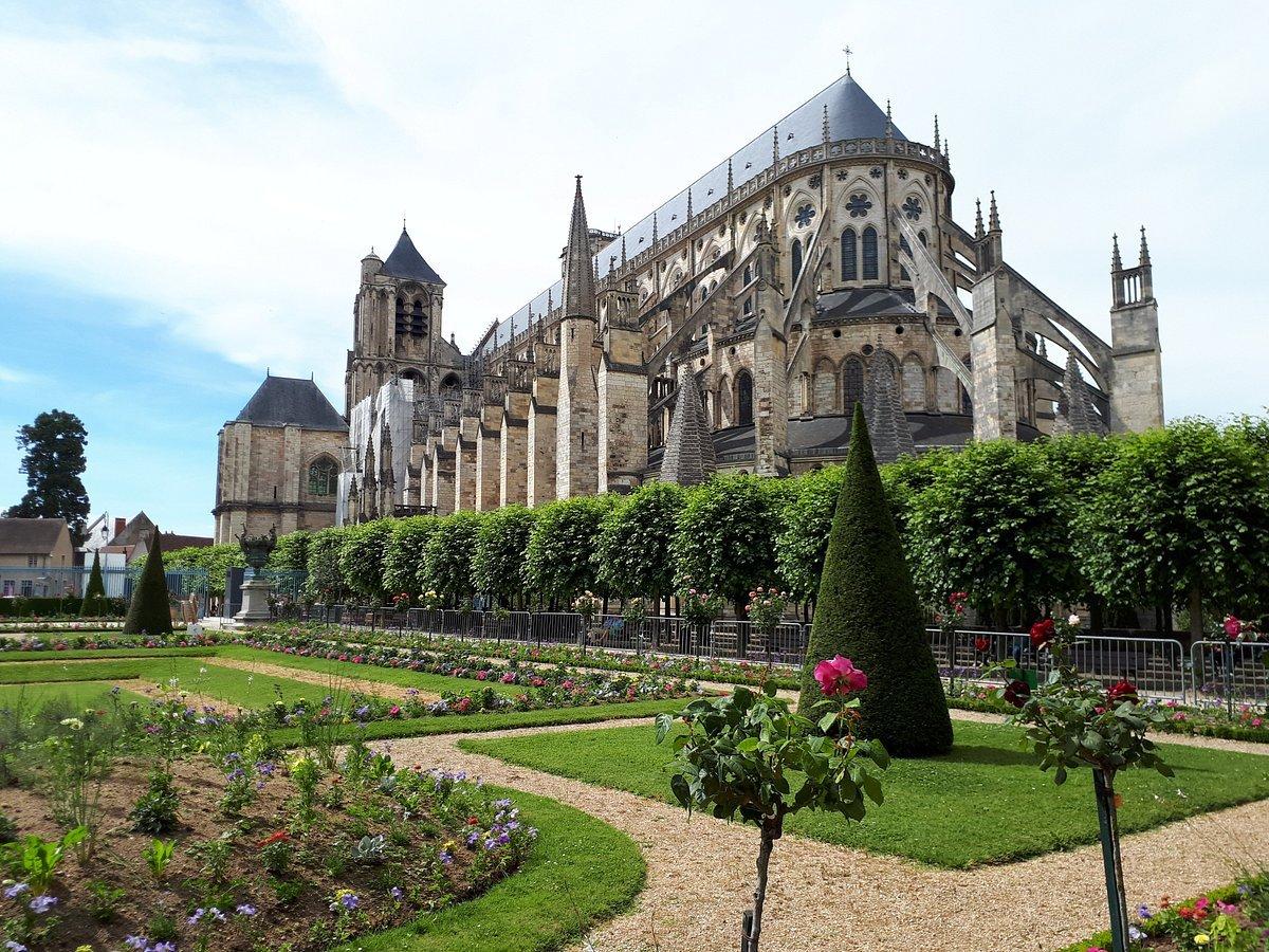 키오스크 주변 및 오래된 나무 아래