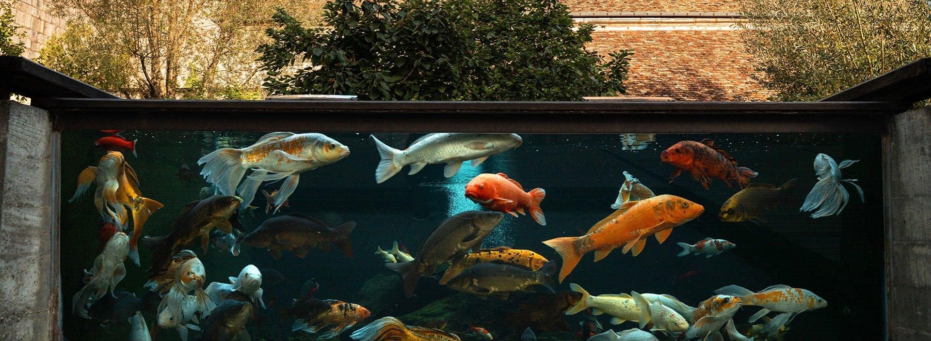 동물원 내 특정 동물 관람 구역