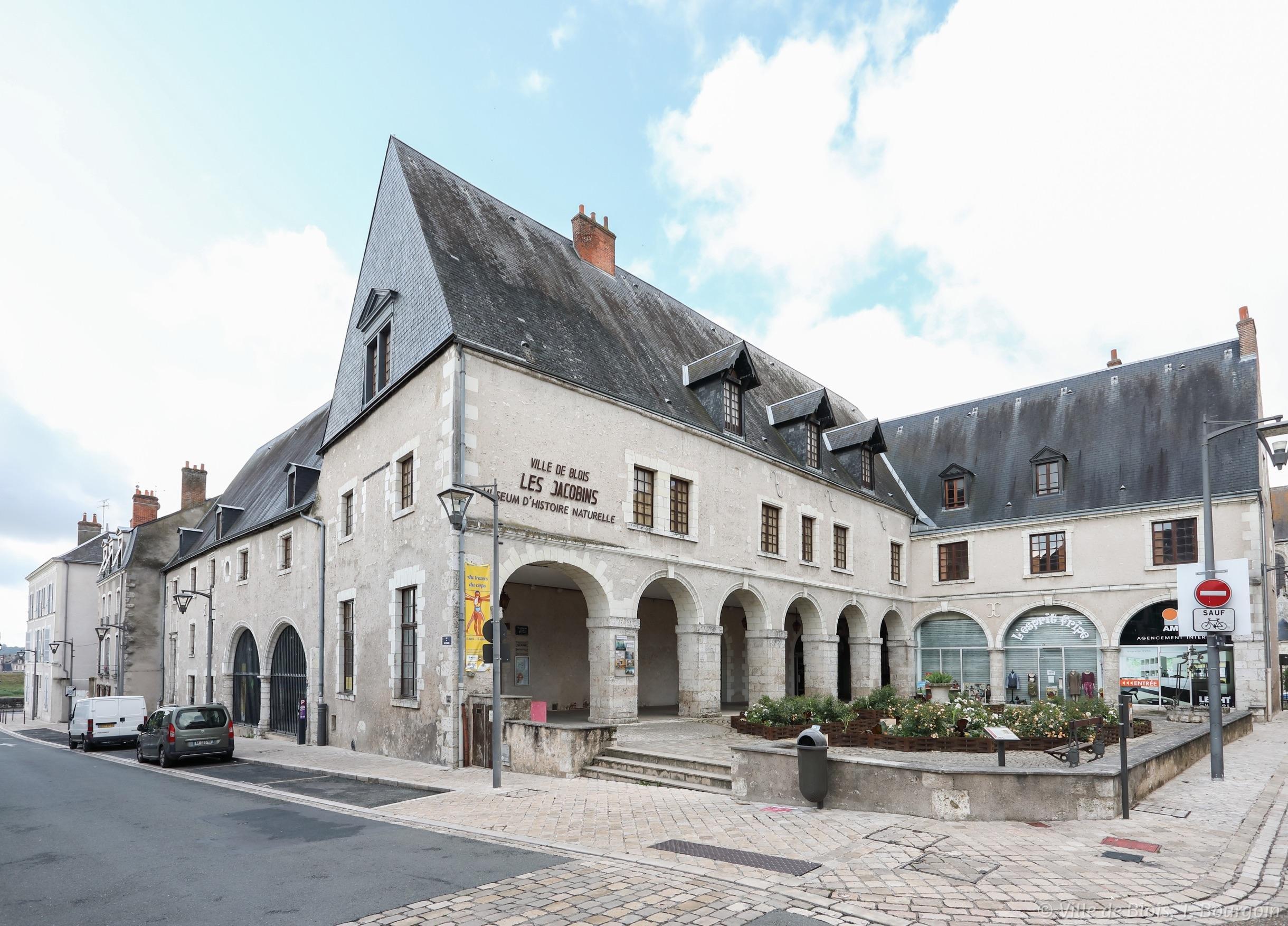 🏛️ 자연사 박물관(뮈제움 디스투아르 나튀렐 드 블루아)