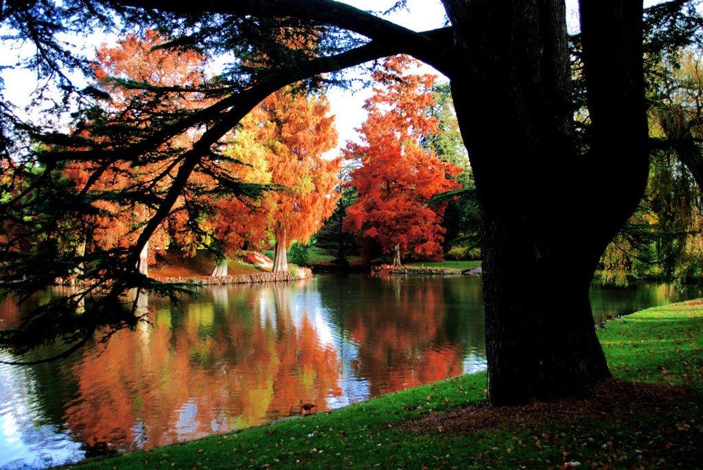 🌳 공원의 정원 (자르댕 뒤 파르크)