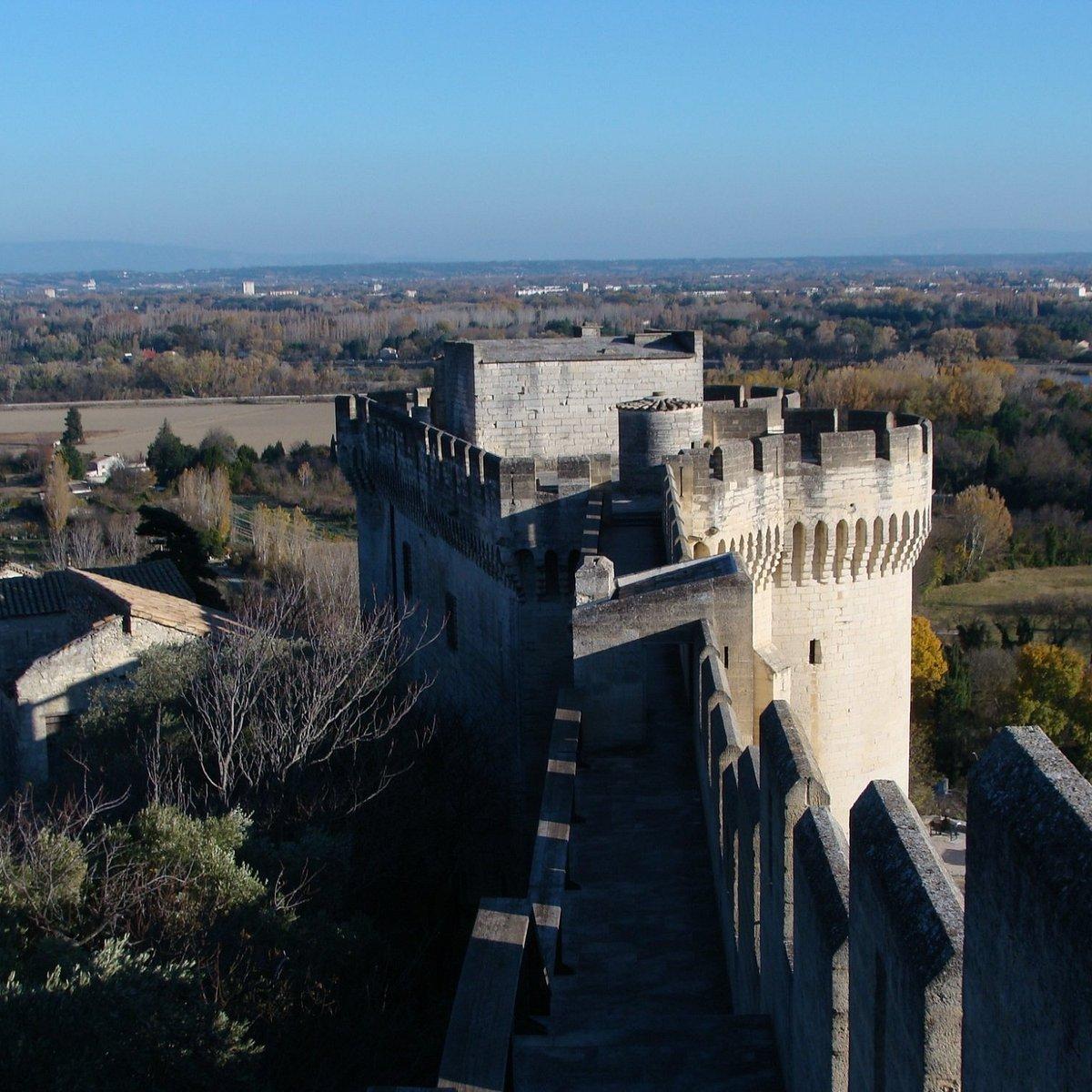 성벽 위 아비뇽 교황청 조망 지점