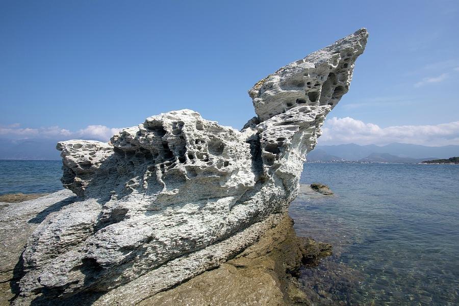 타포니와 오리우가 있는 산책로