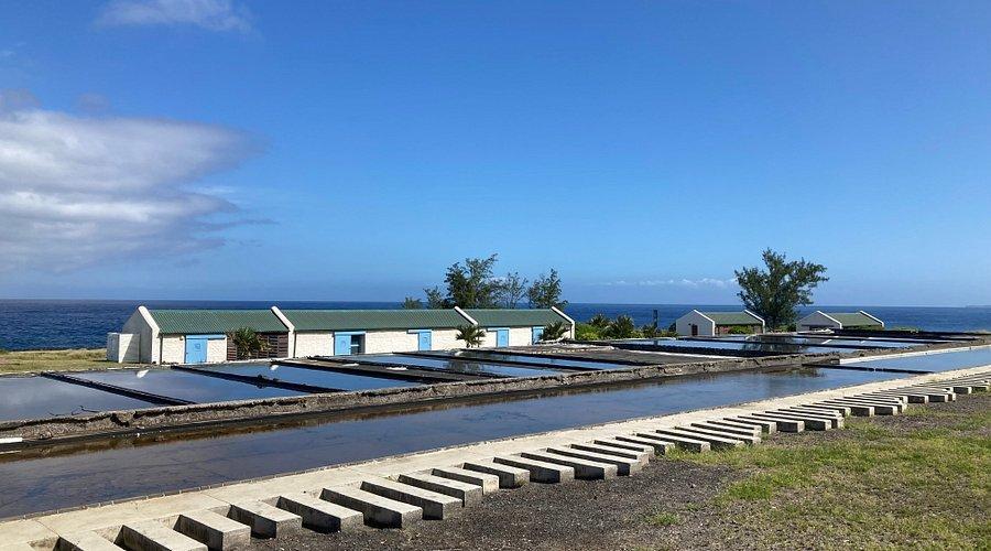 🧂 소금 박물관(뮈제 뒤 셀)