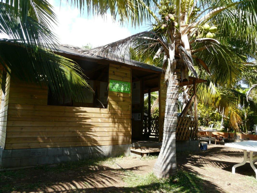🥥 코코넛의 집 (라 메종 뒤 코코)