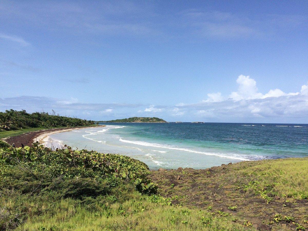 앙스 트라보(Anse Trabaud) 해변