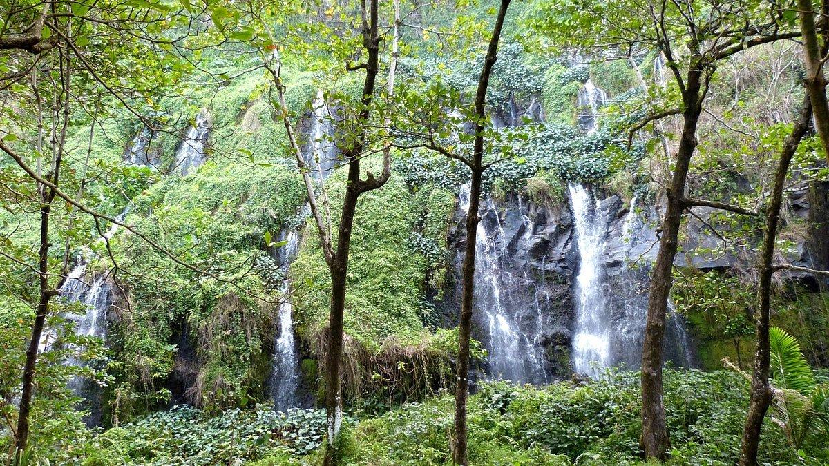 여러 갈래의 폭포 전경