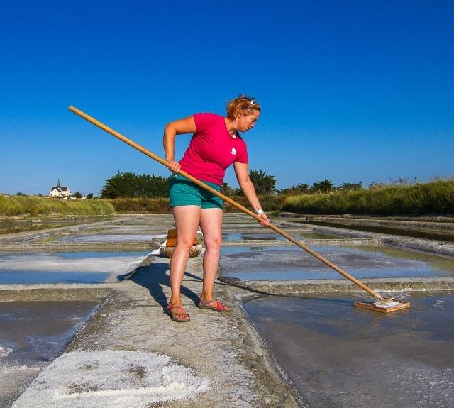 🧂 비 강 염전(마레 살랑 드 라 비)