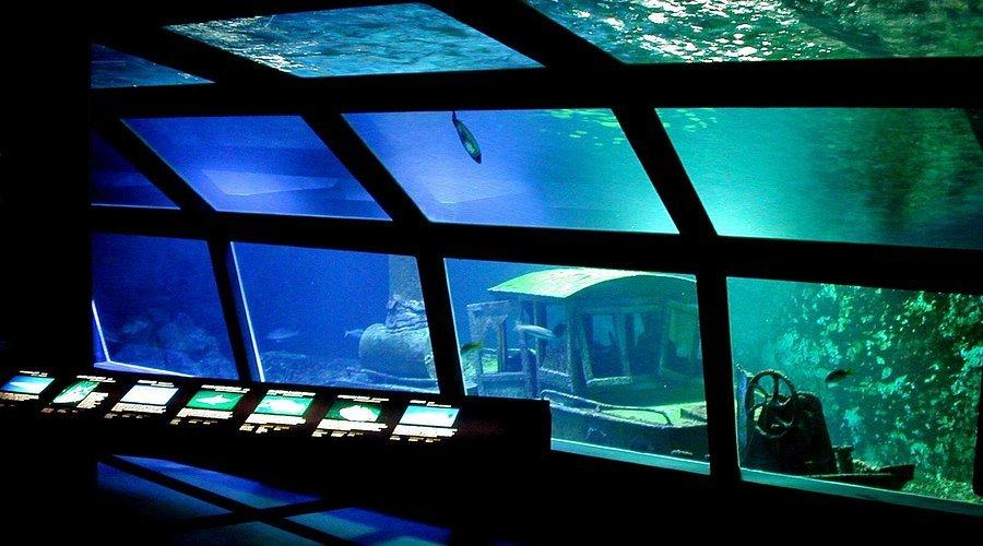 🐠 레위니옹 수족관 (아쿠아리움 드 라 레위니옹)