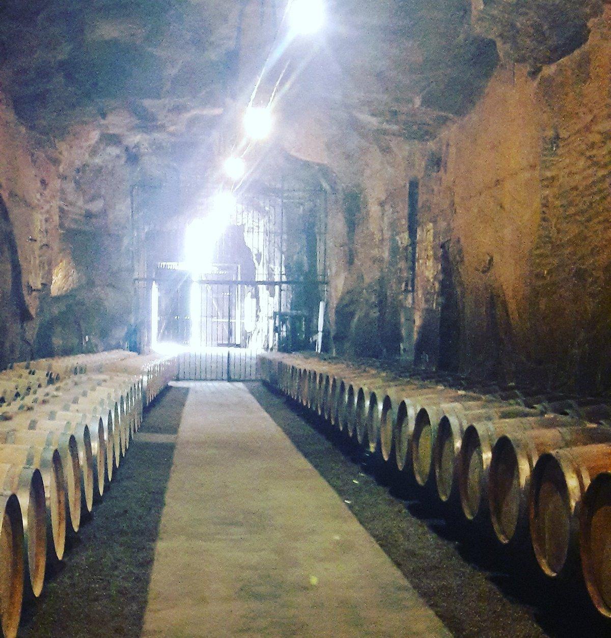 🍷 몽플레지르 동굴(꺄브 몽플레지르)