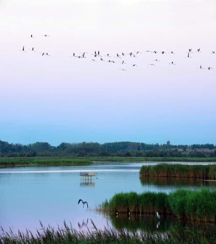 🏞️ 바냐스 자연 보호구역 (헤제흐브 나튜헬 뒤 바냐스)
