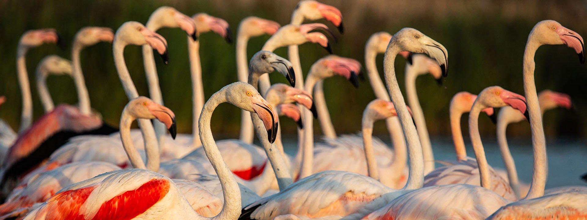 바카레스 호수변