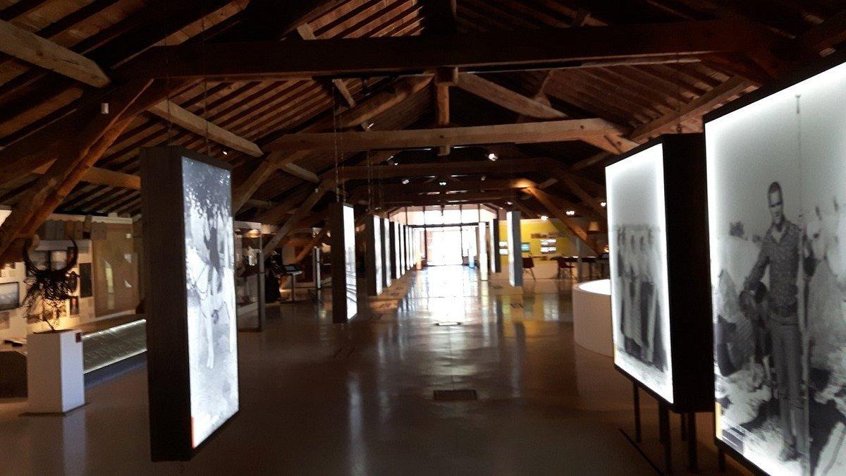 🏛️ 카마르그 박물관(뮈제 드 라 카마르그)