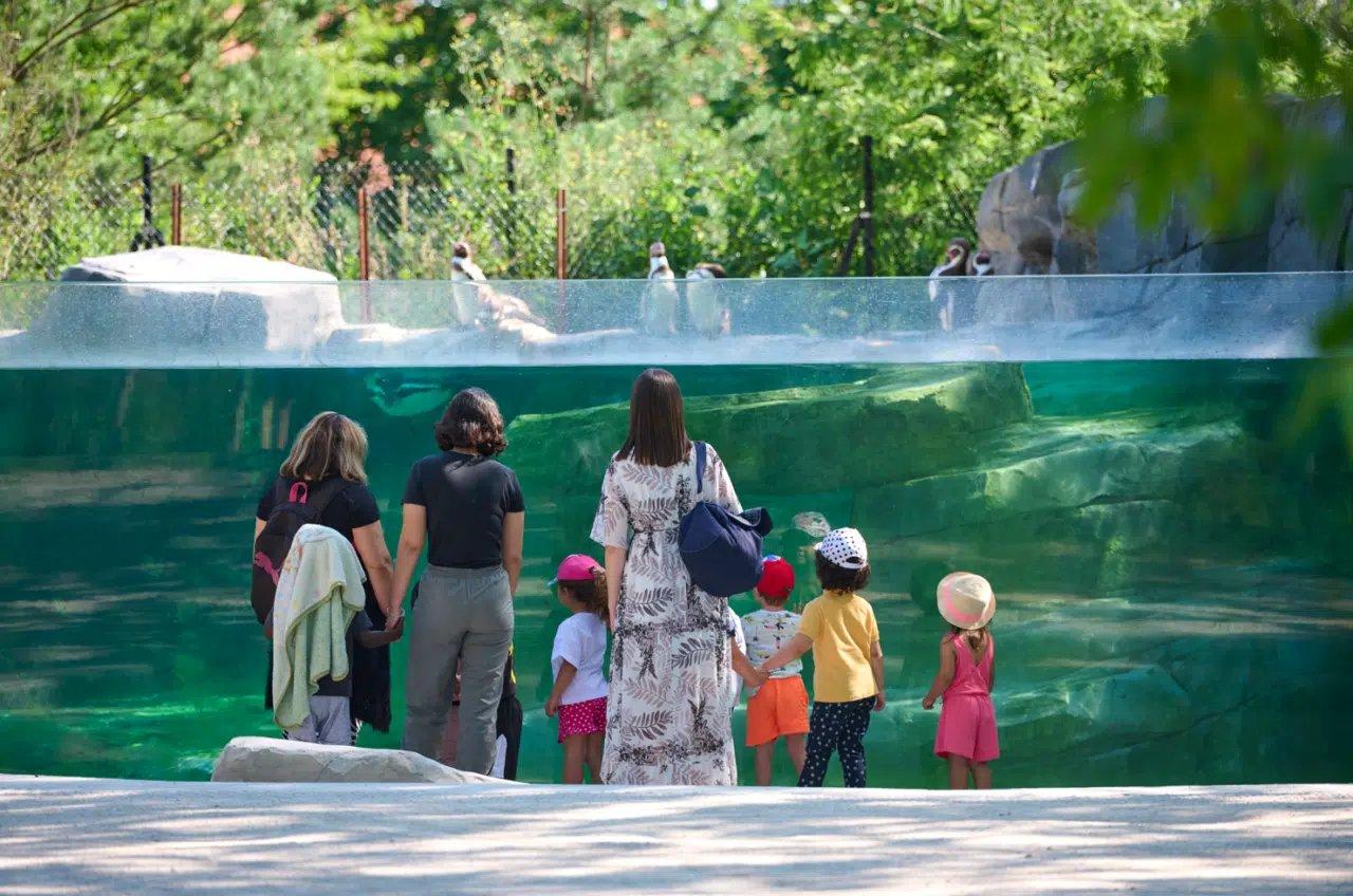 동물 먹이 주기 시연