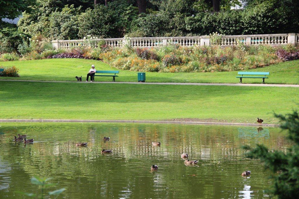 동물 울타리 주변