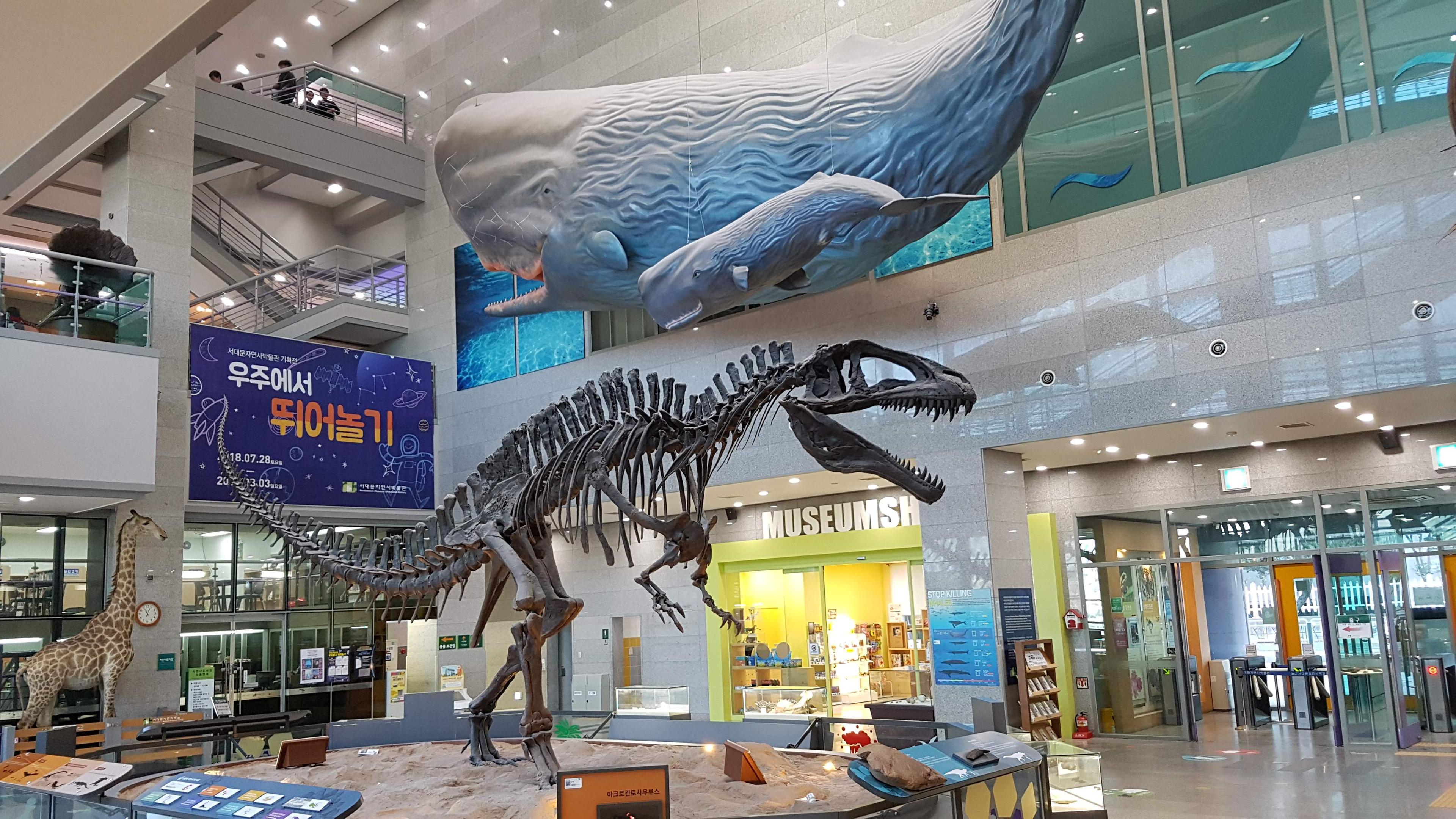 🏛️ 자연사 박물관 (뮤제움 데 시앙스 나튀렐)