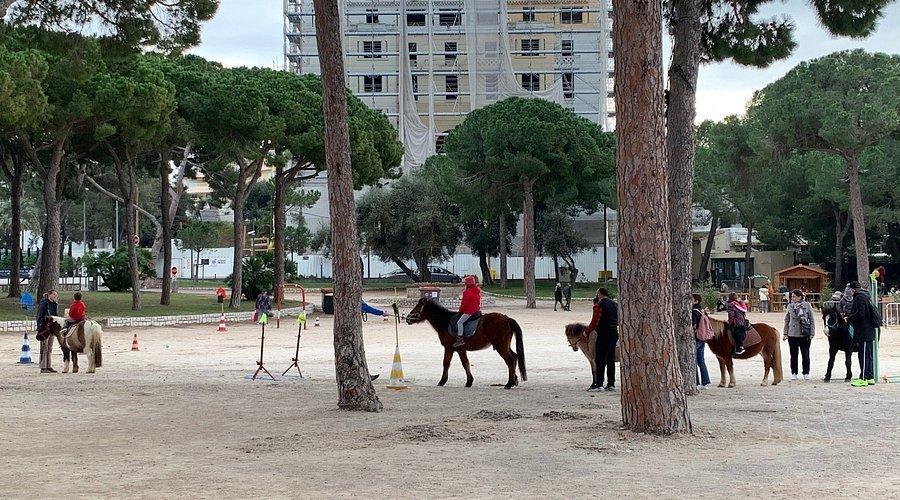 🏞️ 프랭크 제이 굴드 광장(스퀘어 프랭크 제이 굴드)