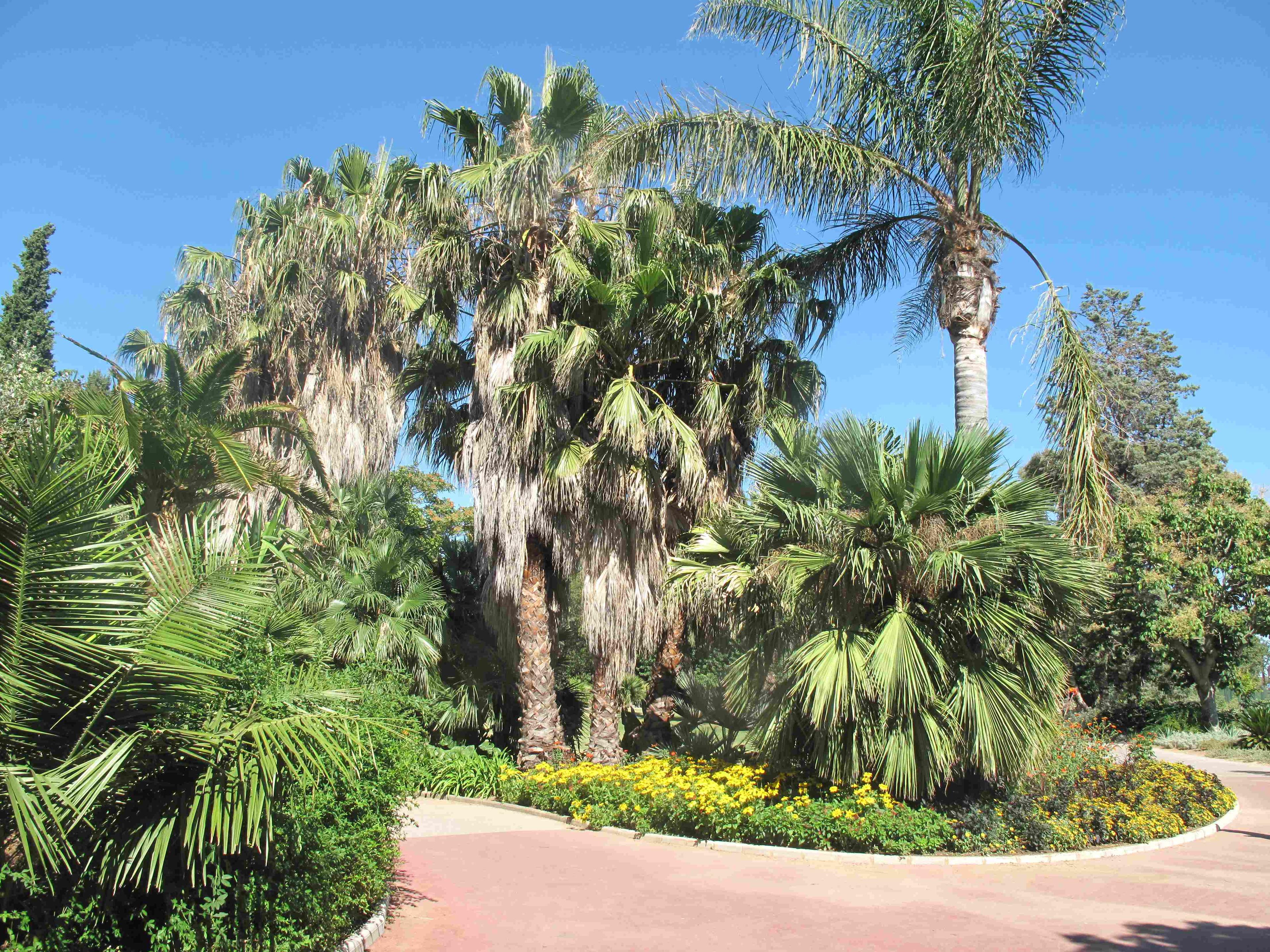 🌳 올비우스 리키에 공원(파크 올비우스 리키에)